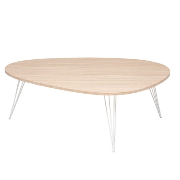 Rental-furniture in Paris-France